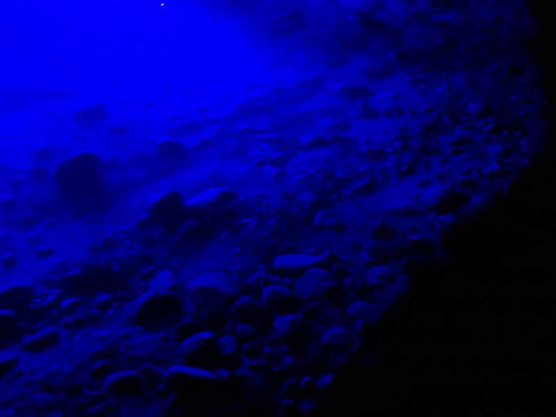 Newsletter-Motiv Mai 2018