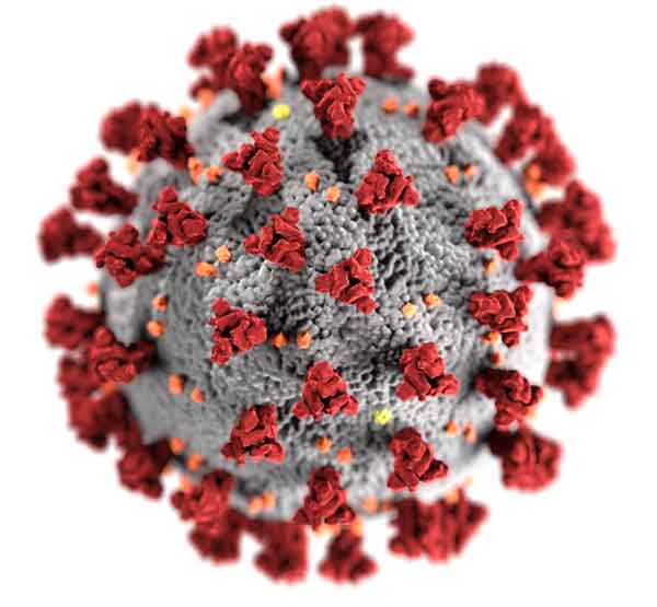 coronavirus