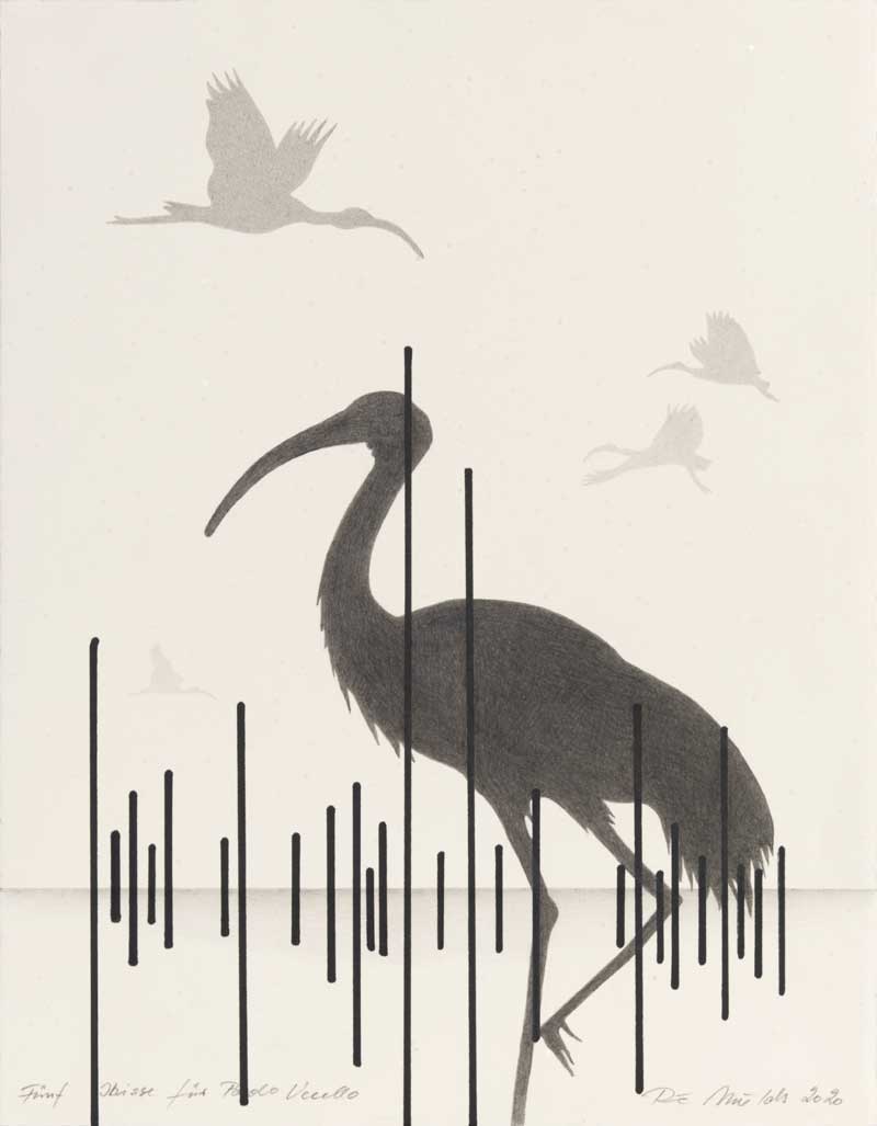 weiteres Bild: Fünf Ibisse für Paolo Uccello