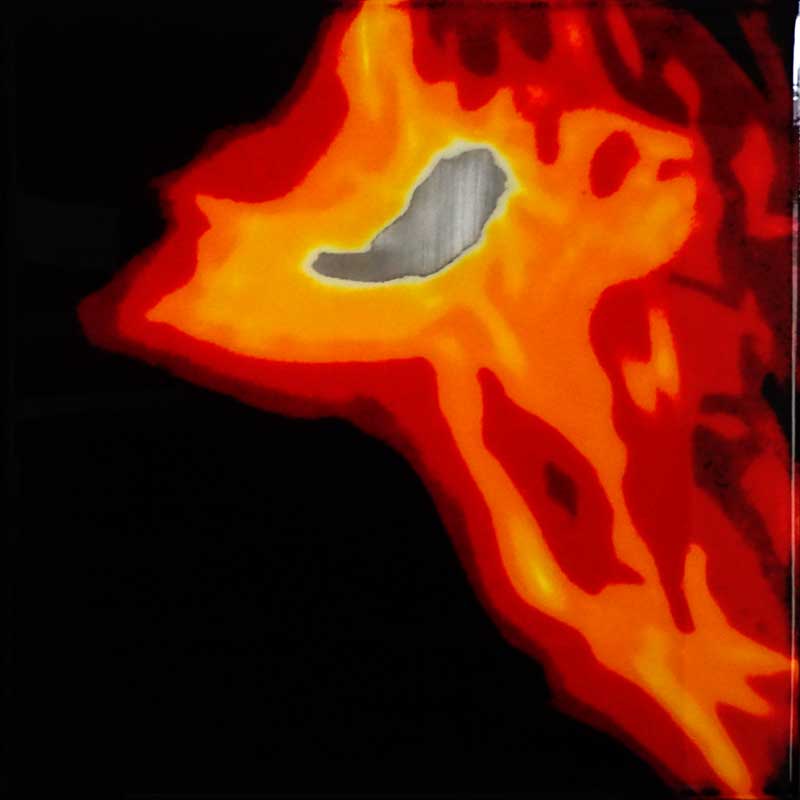 Pabsch Biotopia 2020 s 72dpi