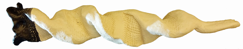 weiteres Bild: Blume, 15