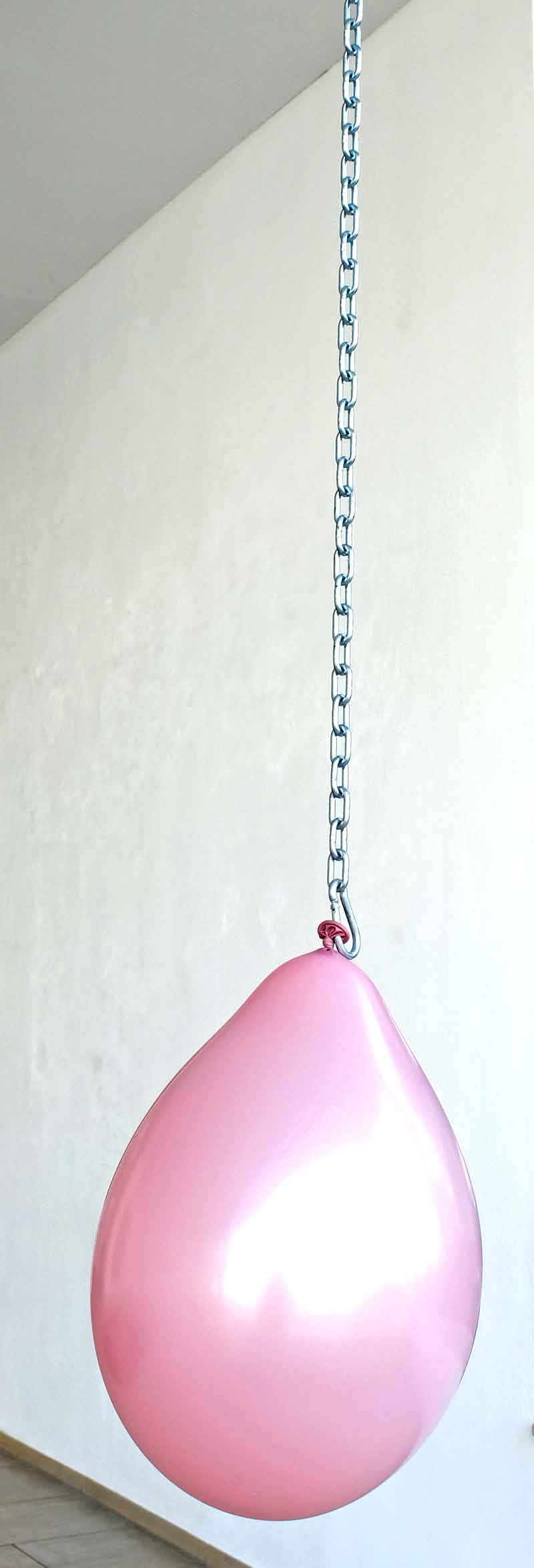 weiteres Bild: unleashed