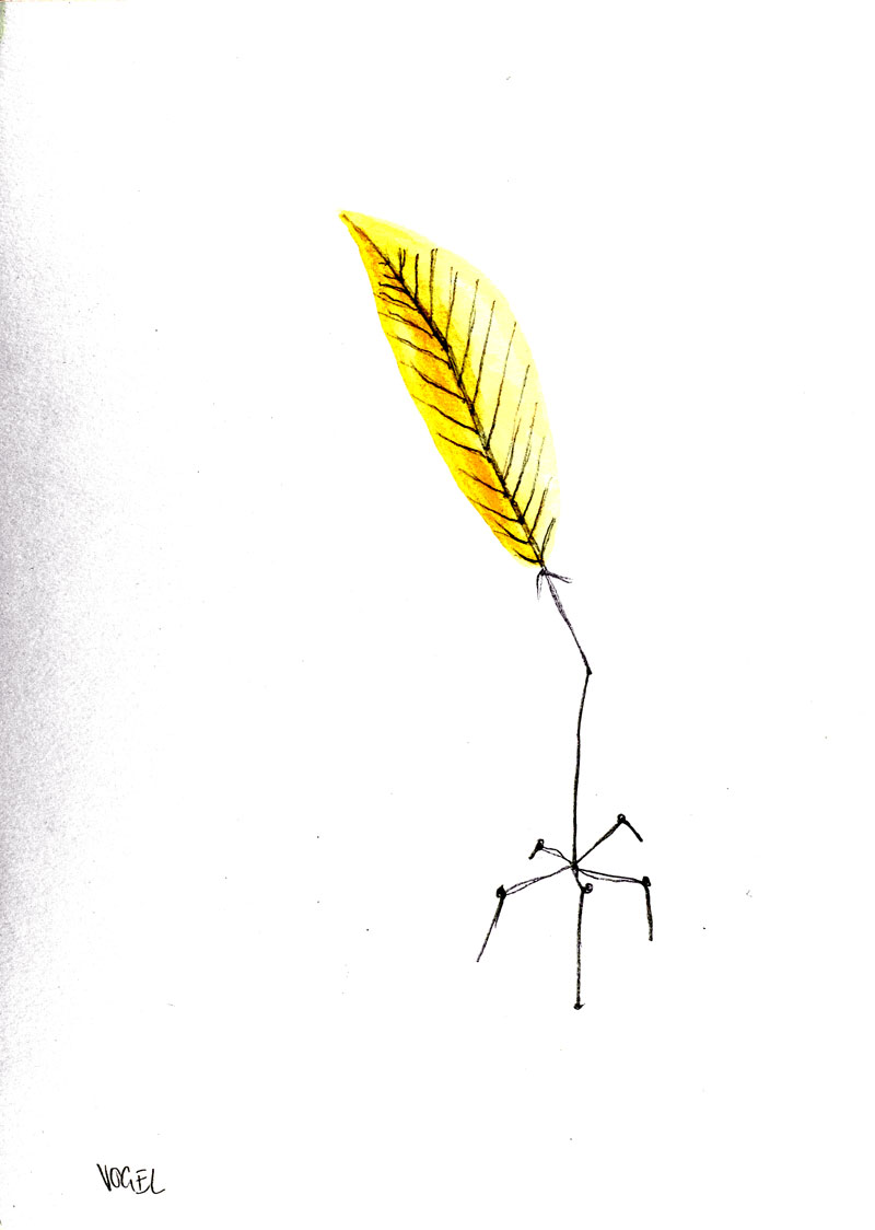 weiteres Bild: Vogel