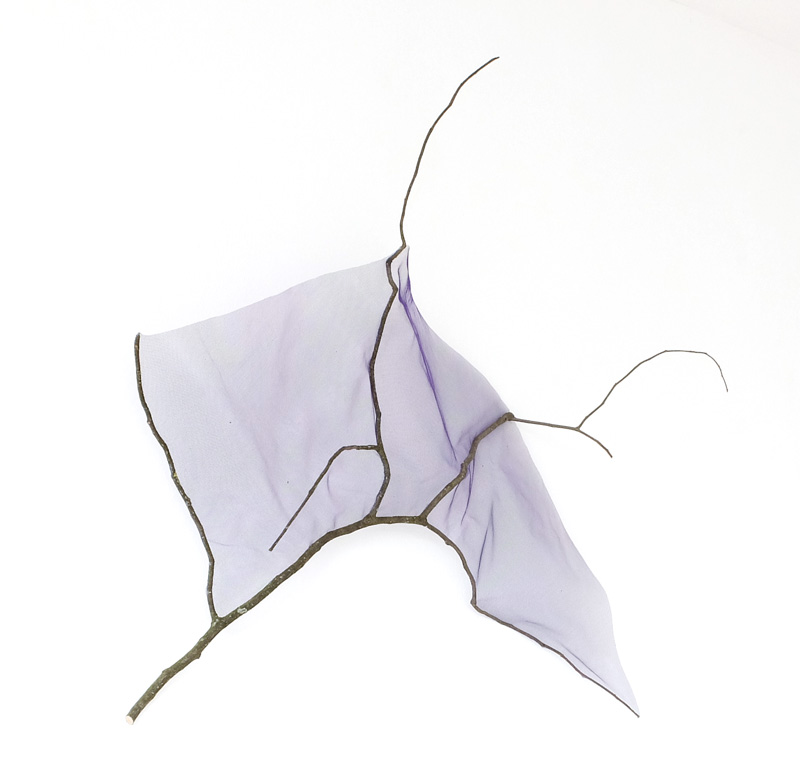 Bild von Lioba Wagner