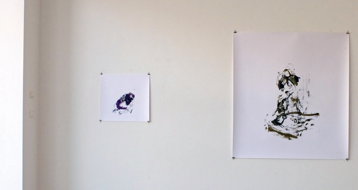 Rolf Schanko: wenn Bilder Nerven in den Raum spannen