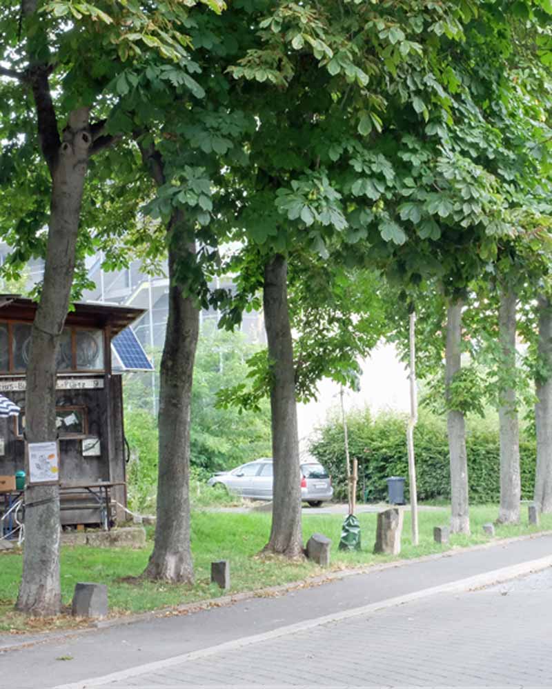 rune mields 1935 la vita corre come rivo fluento 1992 basalt blattgold